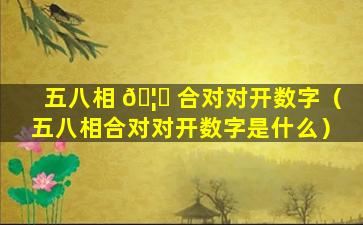 五八相 🦋 合对对开数字（五八相合对对开数字是什么）